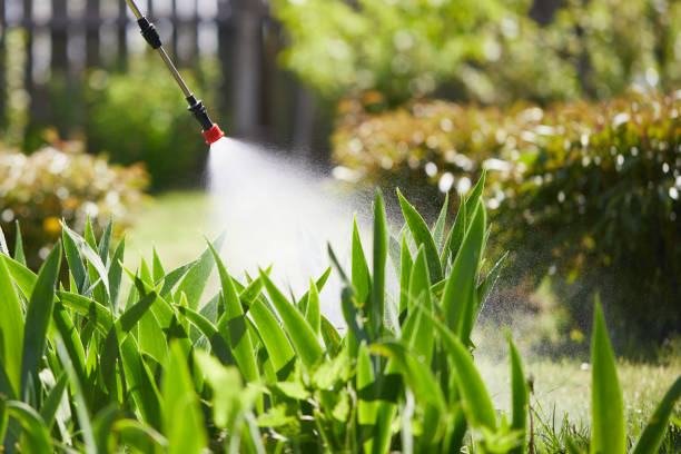 24/7 Emergency Mosquito Control experts in Poulsbo, WA