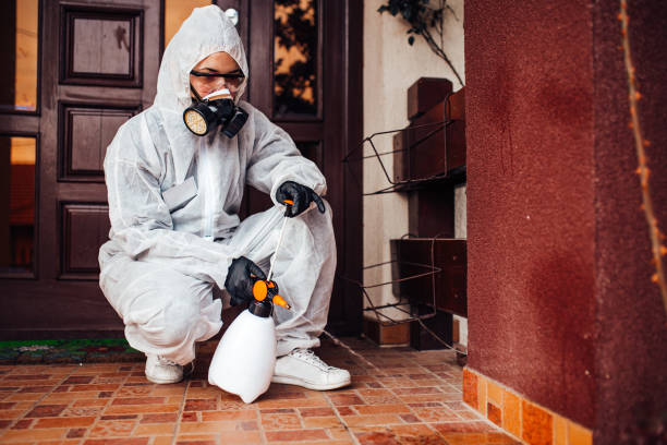 Reliable Mosquito Control contractor in Poulsbo, WA by Show Me Pest Control