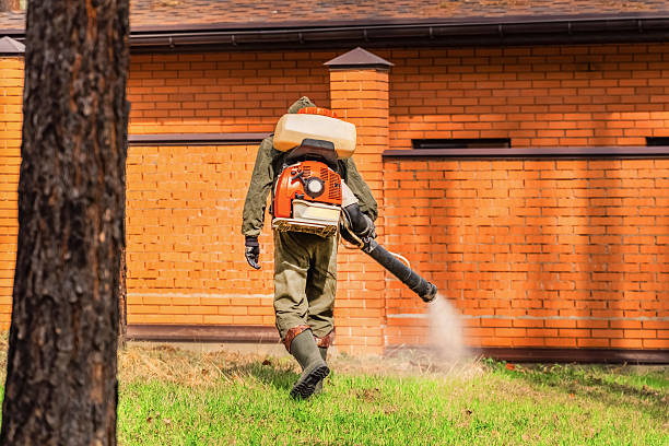 Top rated local Mosquito Control specialists in Poulsbo, WA
